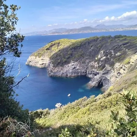 Appartement Grand T2 Sur La Presqu'ile De Giens Hyères