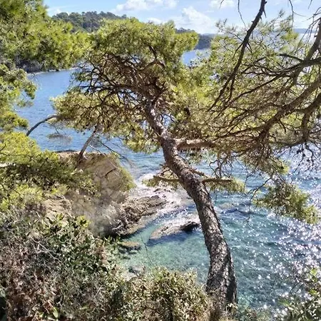 Grand T2 Sur La Presqu'ile De Giens * Hyères