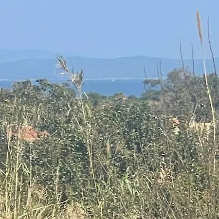 Appartement Grand T2 Sur La Presqu'ile De Giens *
